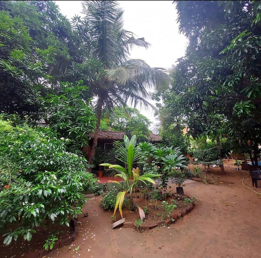 Lotus Riya Home Stay Hampi Eksteriør billede